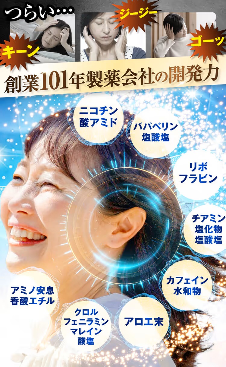 定期コースの仕組み