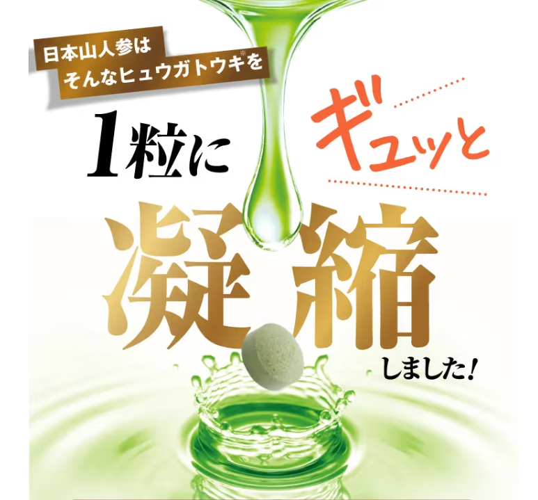 ヒュウガトウキ植物イメージ