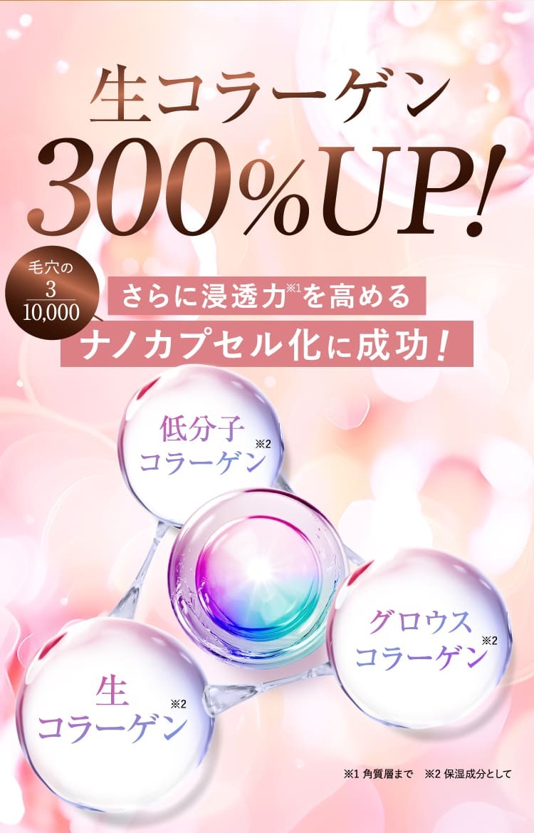 申込みフォーム イメージ