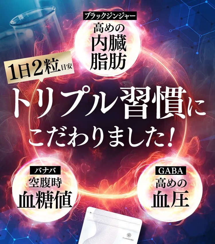 スラヘルの脂肪へのアプローチ説明イメージ